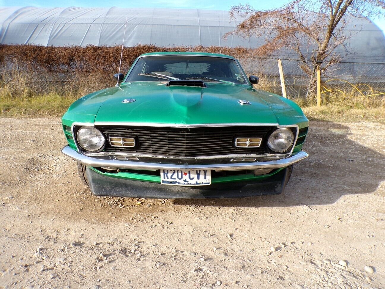 Ford-Mustang-Coupe-1970-White-161651-6