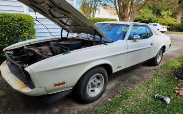 Ford-Mustang-Coupe-1973-White-White-0-25