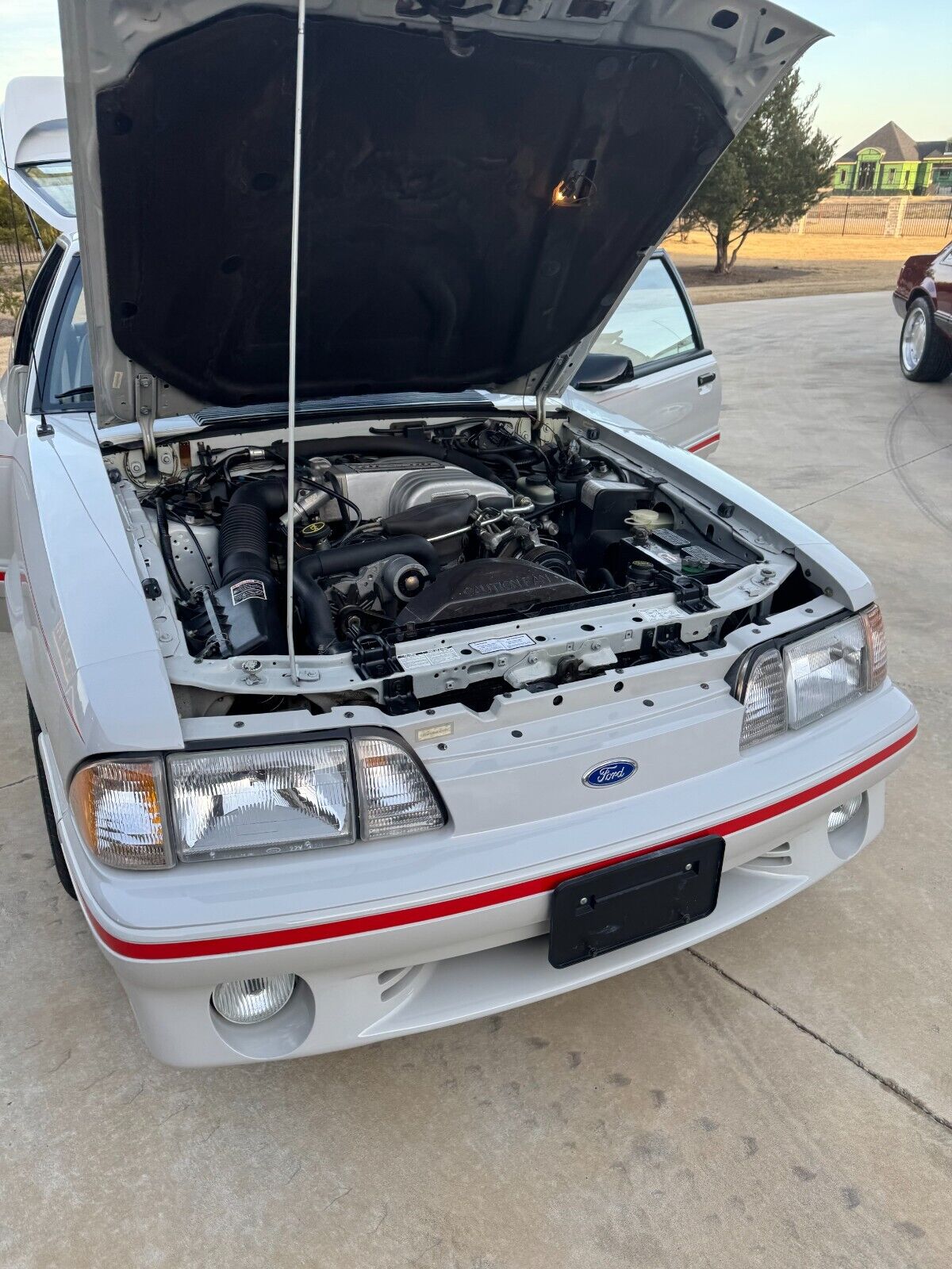 Ford-Mustang-Coupe-1988-Gray-20600-31