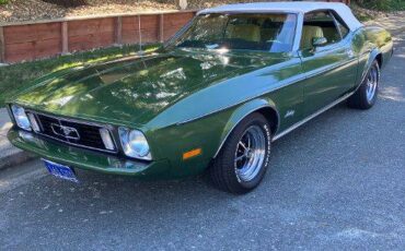 Ford-Mustang-convertible-1973-green-201168-2