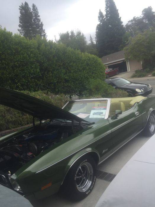 Ford-Mustang-convertible-1973-green-201168-5