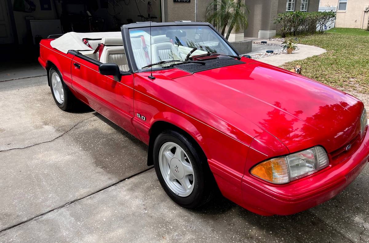 Ford-Mustang-lx-1982-red-76605-5