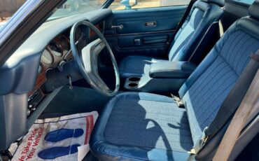 Ford-Ranchero-1979-Blue-Blue-134654-6