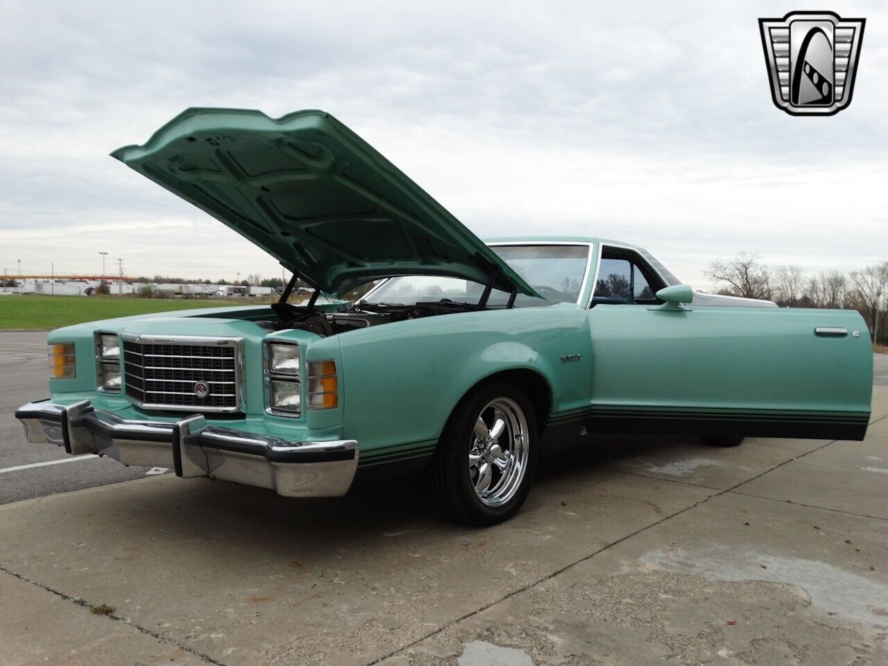 Ford-Ranchero-Pickup-1979-Green-Green-41151-11