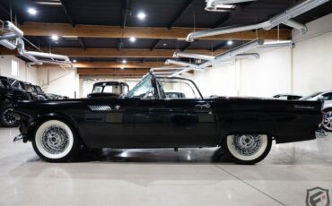 Ford-Thunderbird-1955-Black-18131-7