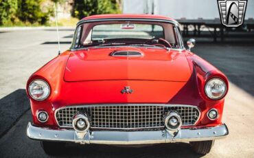 Ford-Thunderbird-1955-Red-Red-78515-10