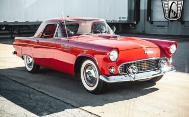 Ford-Thunderbird-1955-Red-Red-78515-9