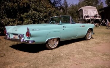 Ford-Thunderbird-1955-blue-24140-1