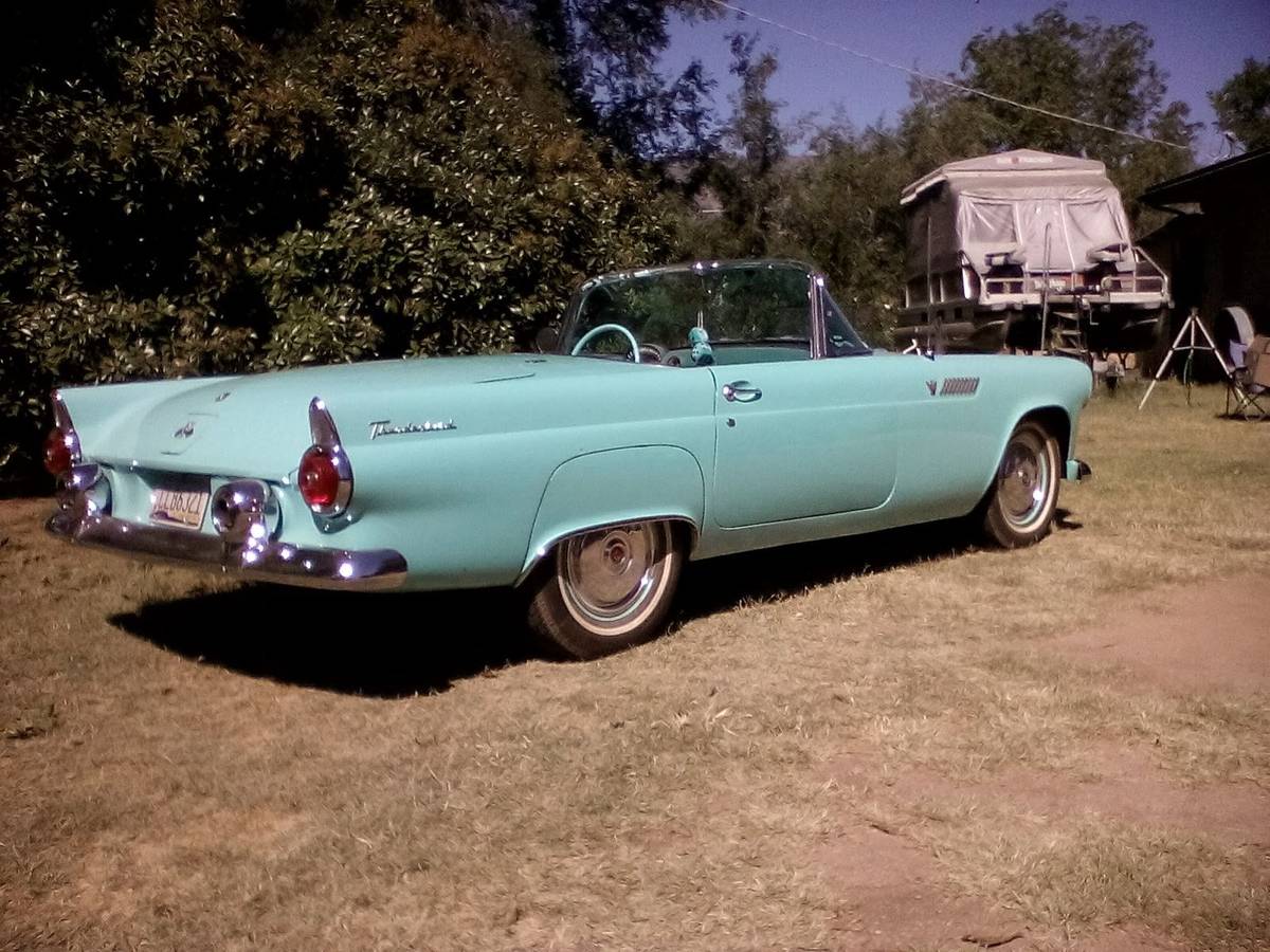 Ford-Thunderbird-1955-blue-24140-1