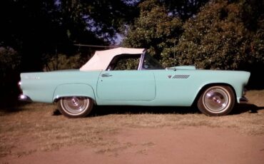 Ford-Thunderbird-1955-blue-24140-6