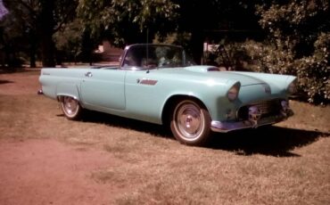 Ford-Thunderbird-1955-blue-24140-7