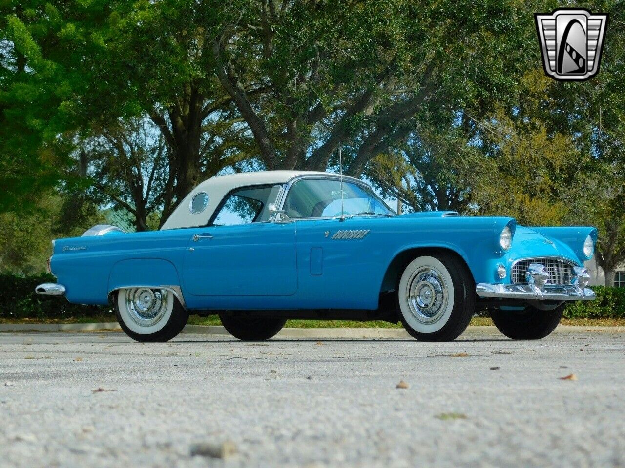 Ford-Thunderbird-1956-Blue-Blue-9334-4