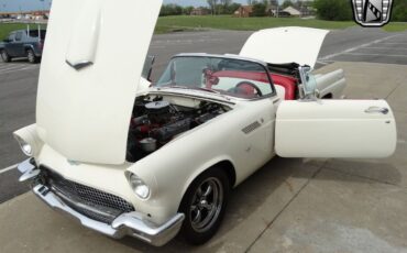 Ford-Thunderbird-1956-White-Red-115020-11