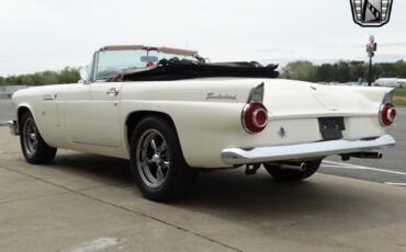 Ford-Thunderbird-1956-White-Red-115020-5