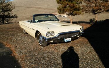 Ford-Thunderbird-1964-yellow-40234-1