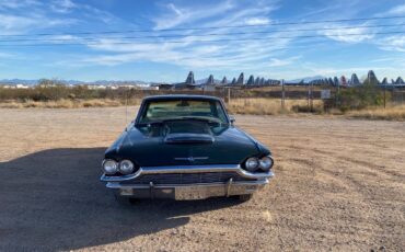 Ford-Thunderbird-1965-green-204386-5