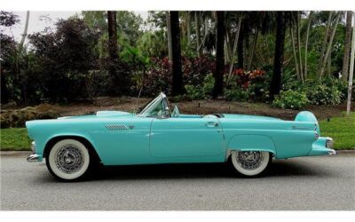 Ford Thunderbird Cabriolet 1955 à vendre