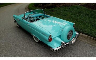 Ford-Thunderbird-Cabriolet-1955-Blue-White-28968-5