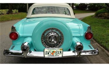 Ford-Thunderbird-Cabriolet-1955-Blue-White-28968-8