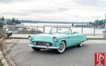 Ford-Thunderbird-Cabriolet-1955-Blue-White-583-1