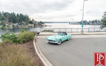 Ford-Thunderbird-Cabriolet-1955-Blue-White-583-10