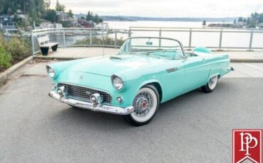 Ford-Thunderbird-Cabriolet-1955-Blue-White-583-32