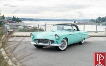 Ford-Thunderbird-Cabriolet-1955-Blue-White-583-9