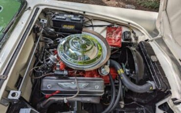 Ford-Thunderbird-Cabriolet-1956-White-Green-112654-5