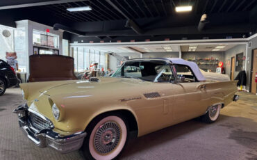 Ford-Thunderbird-Cabriolet-1957-Gold-Brown-99395-18