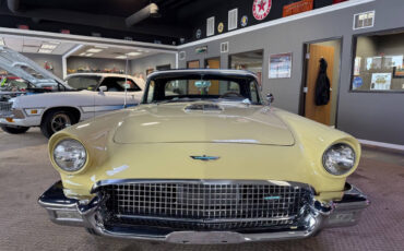 Ford-Thunderbird-Cabriolet-1957-Gold-Brown-99395-19