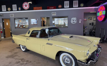 Ford-Thunderbird-Cabriolet-1957-Gold-Brown-99395-2