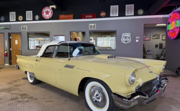 Ford-Thunderbird-Cabriolet-1957-Gold-Brown-99395-20