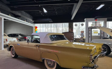 Ford-Thunderbird-Cabriolet-1957-Gold-Brown-99395-25