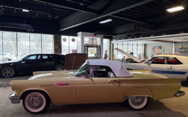 Ford-Thunderbird-Cabriolet-1957-Gold-Brown-99395-26