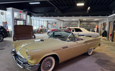 Ford-Thunderbird-Cabriolet-1957-Gold-Brown-99395-36