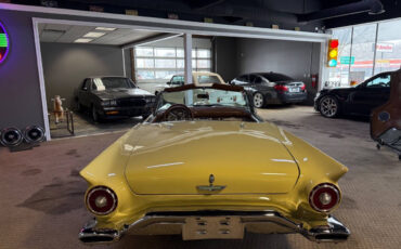 Ford-Thunderbird-Cabriolet-1957-Gold-Brown-99395-39