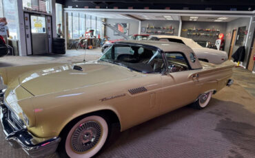 Ford-Thunderbird-Cabriolet-1957-Gold-Brown-99395-9