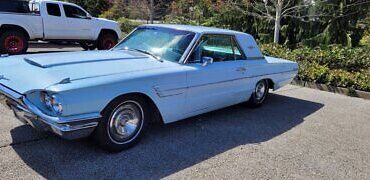 Ford-Thunderbird-Coupe-1965-Blue-Blue-95561-1