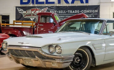 Ford-Thunderbird-Coupe-1965-Blue-White-171921-2