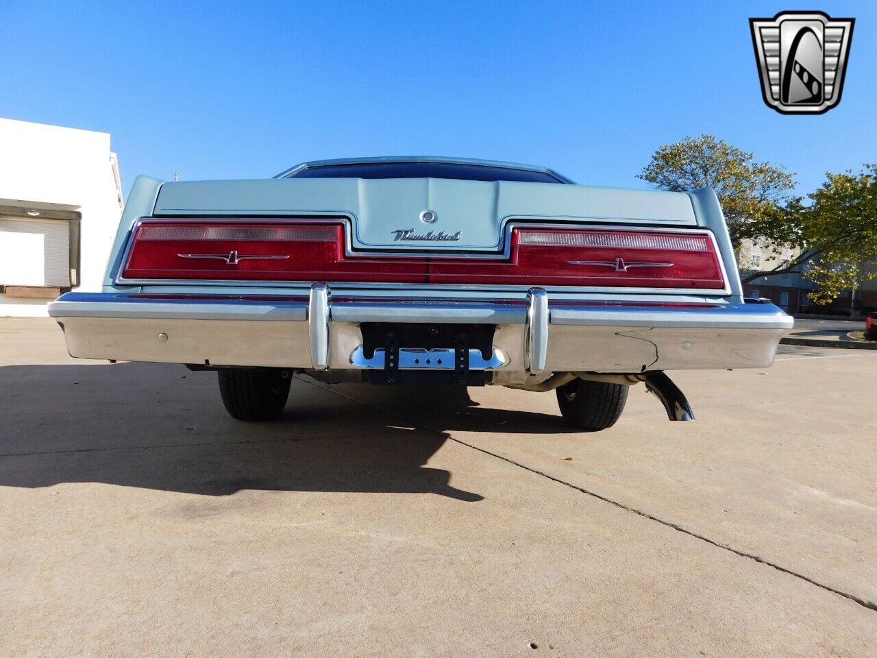 Ford-Thunderbird-Coupe-1978-Blue-Blue-3084-5