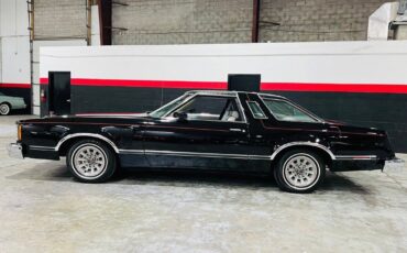 Ford-Thunderbird-Coupe-1979-Black-Tan-52304-1