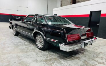 Ford-Thunderbird-Coupe-1979-Black-Tan-52304-2