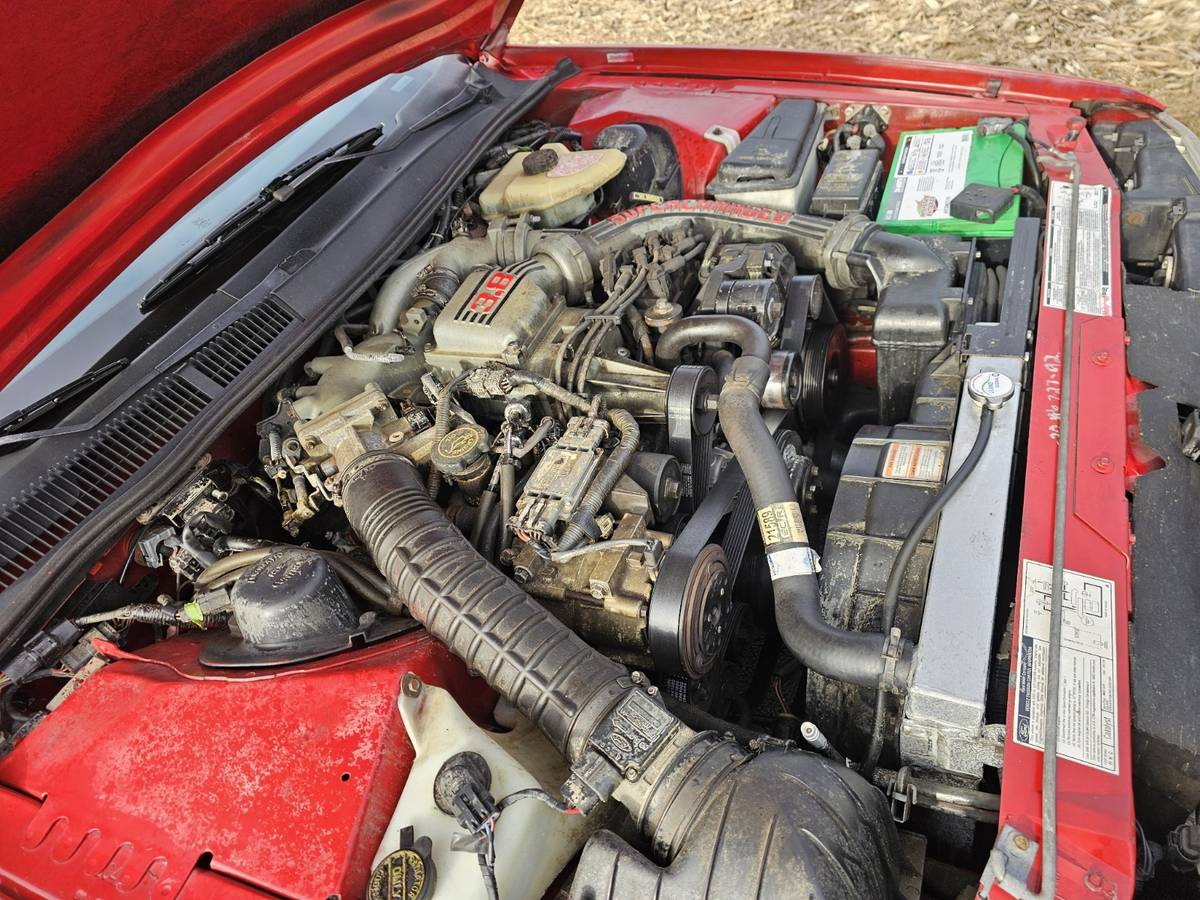 Ford-Thunderbird-super-coupe-1992-red-133575-11