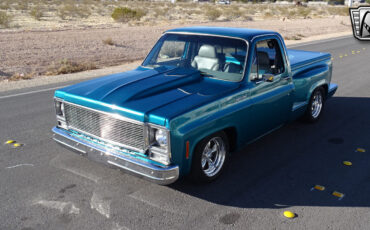 GMC-1500-1979-Green-Gray-8414-3