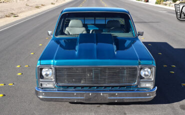 GMC-1500-1979-Green-Gray-8414-4