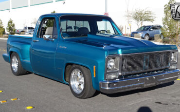 GMC-1500-1979-Green-Gray-8414-5