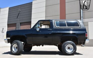 GMC-Jimmy-Pickup-1983-Black-Tan-77831-3