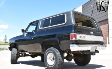 GMC-Jimmy-Pickup-1983-Black-Tan-77831-4