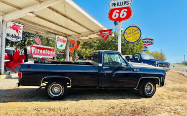 GMC-S15-Pickup-Pickup-1980-Blue-Blue-19867-3