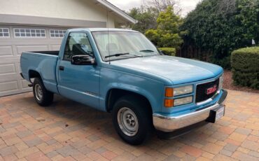 GMC-Sierra-1500-1995-Blue-208114-6